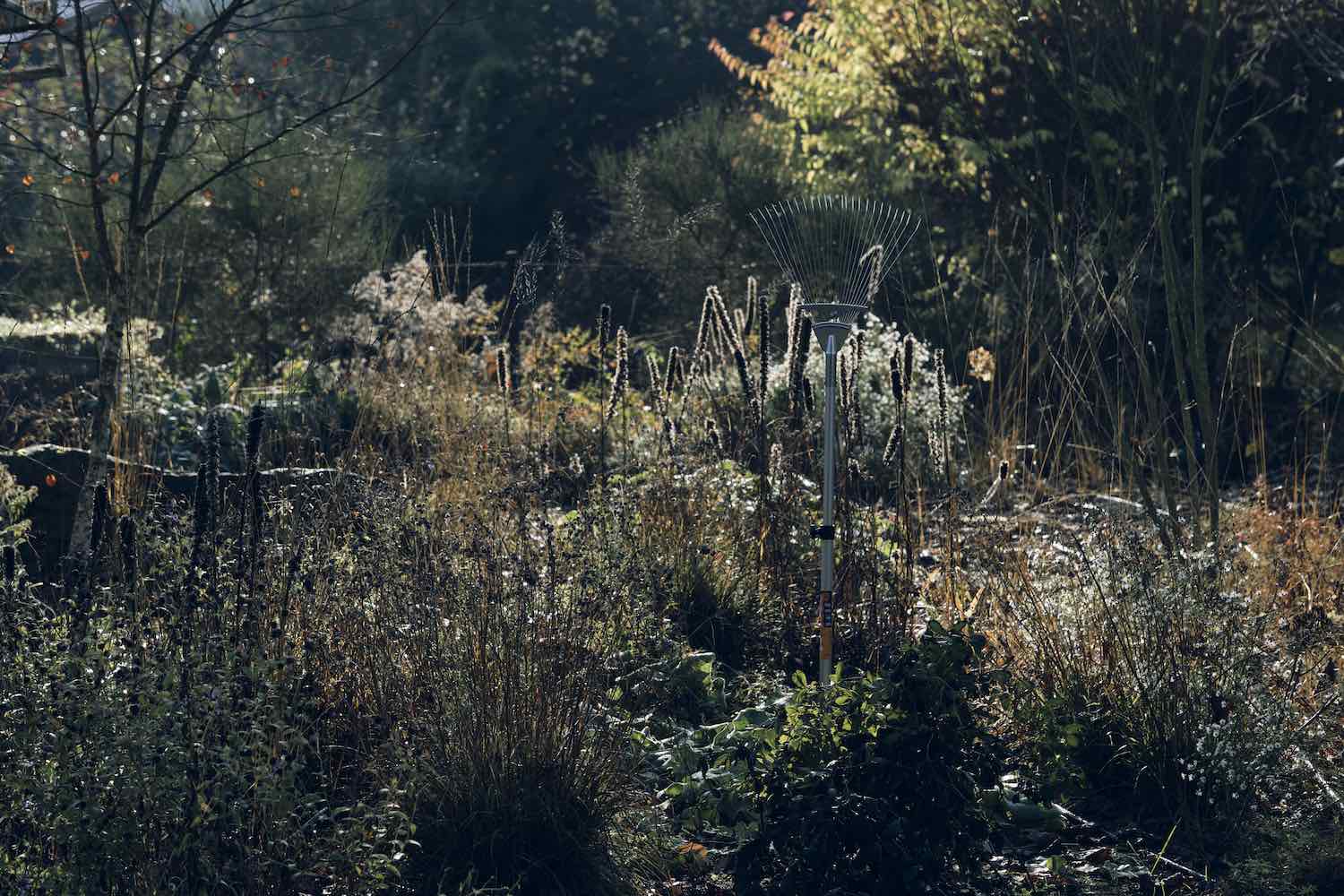 asano hrabe na listi zahrada tokyo tools praha